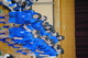 DSC_0382.JPG