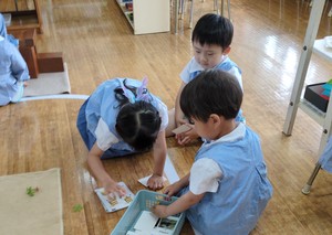 R8　モンテ　にじ