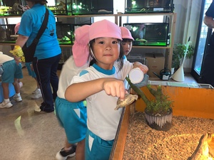 けんちゃん動物園